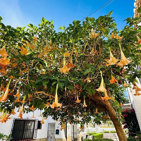 Right By The Pool Area In Capistrano Village! Nerja Luaran gambar